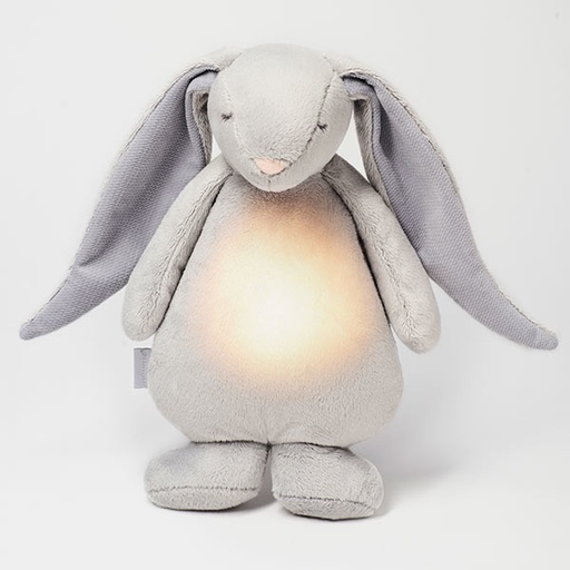 Moonie heartbeat bunny with light Silver