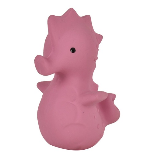 Tikiri bath toy with bell sea horse
